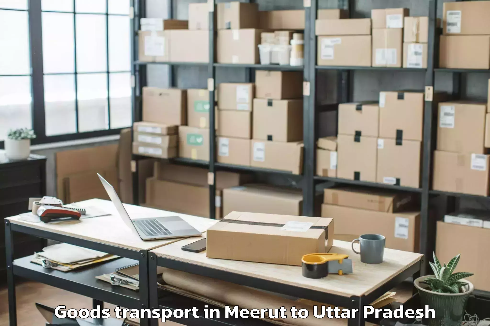 Discover Meerut to Etawah Goods Transport